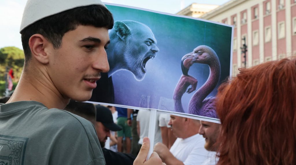 Фламінго проти Трампа: як оборудка зятя президента США збурила Албанію